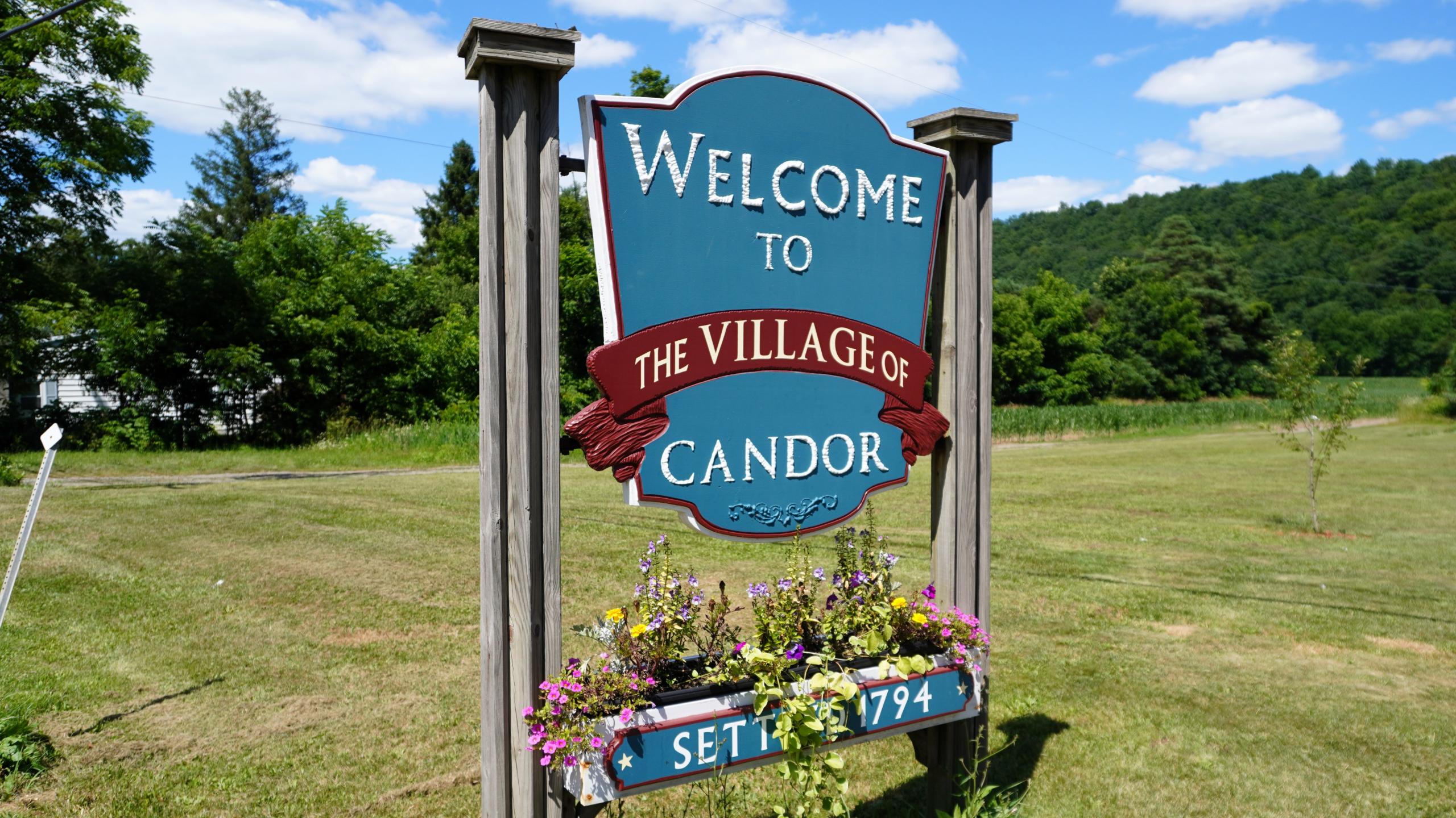 Weekend top picks: Candor Fall Festival, Friends of the Library Book Sale, and more