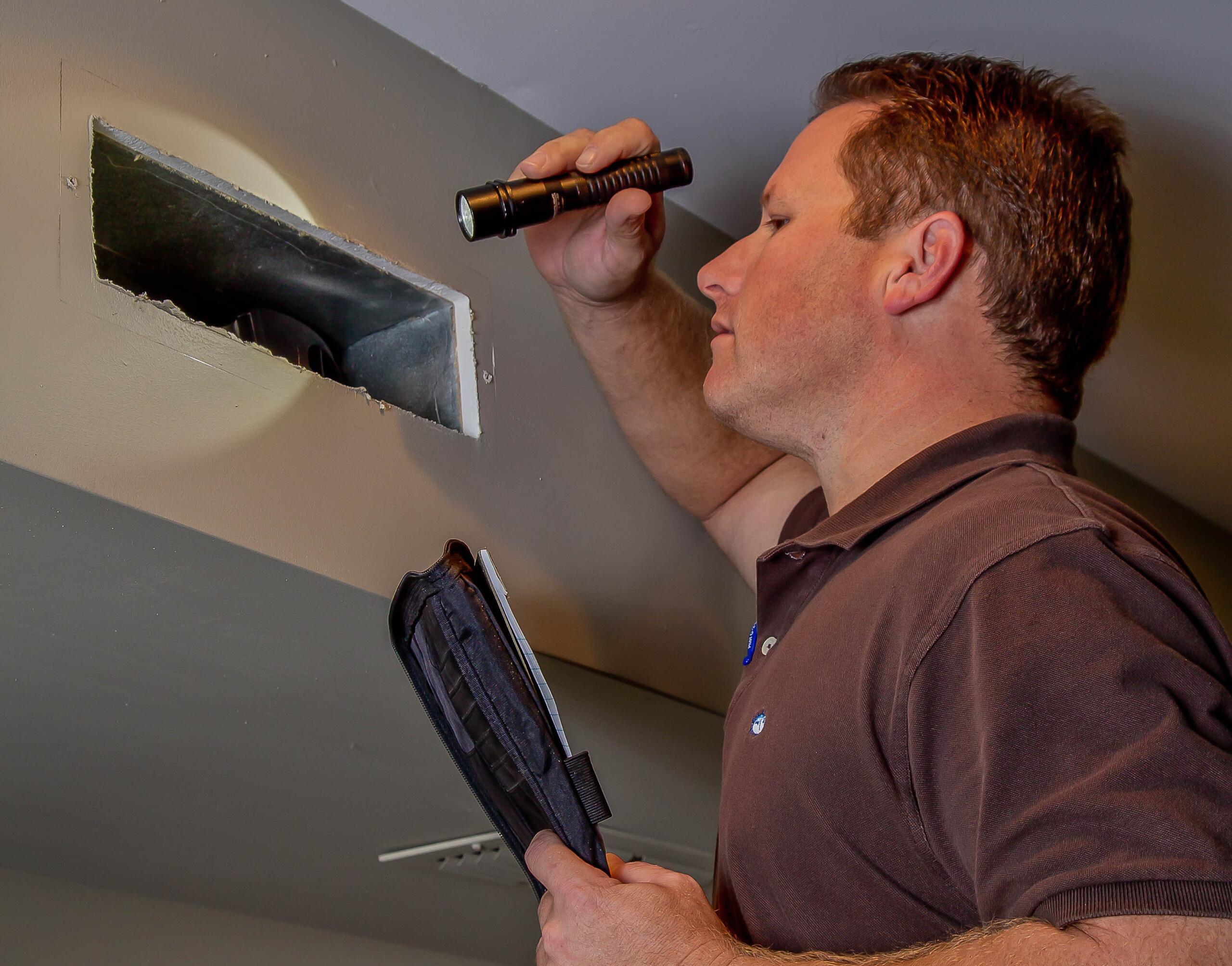 Battling bats: Keeping your attic off-limits this fall | AJ’s Nuisance Wildlife Control