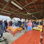 People gather under a wooden pavilion at an outdoor community event, around orange-clothed tables sharing food and conversations.