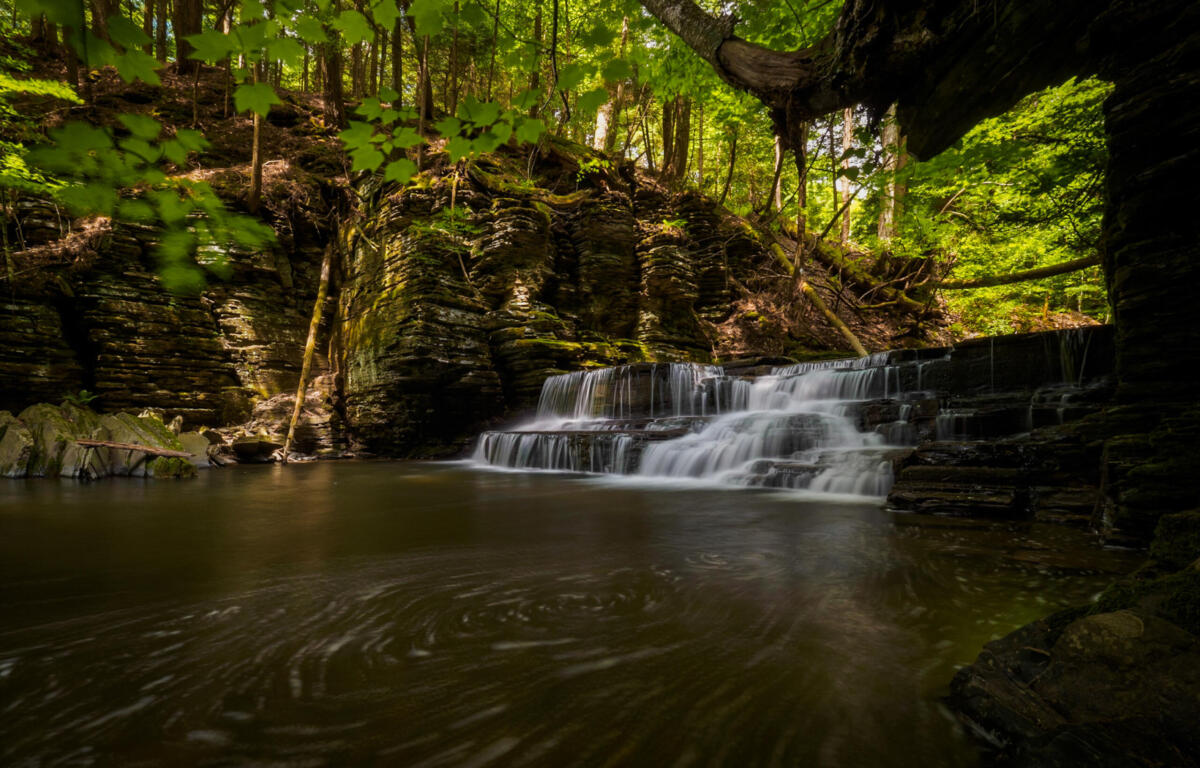 Forest scene with a rocky wall and a small multi-tier waterfall feeding a calm pool, surrounded by green foliage and mossy rocks.