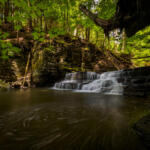 Forest scene with a rocky wall and a small multi-tier waterfall feeding a calm pool, surrounded by green foliage and mossy rocks.