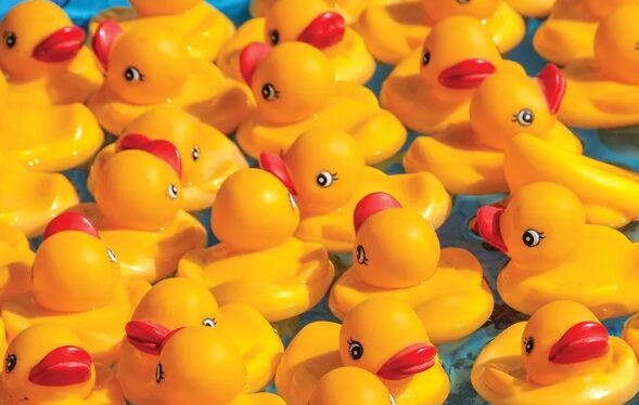 A crowd of yellow rubber ducks floating on blue water with red beaks.