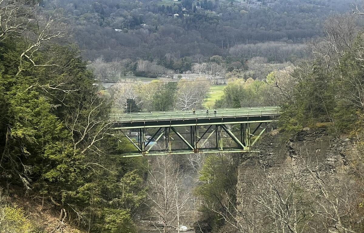 Green metal bridge spans a rocky gorge, with dense trees on both sides and a distant valley beyond.