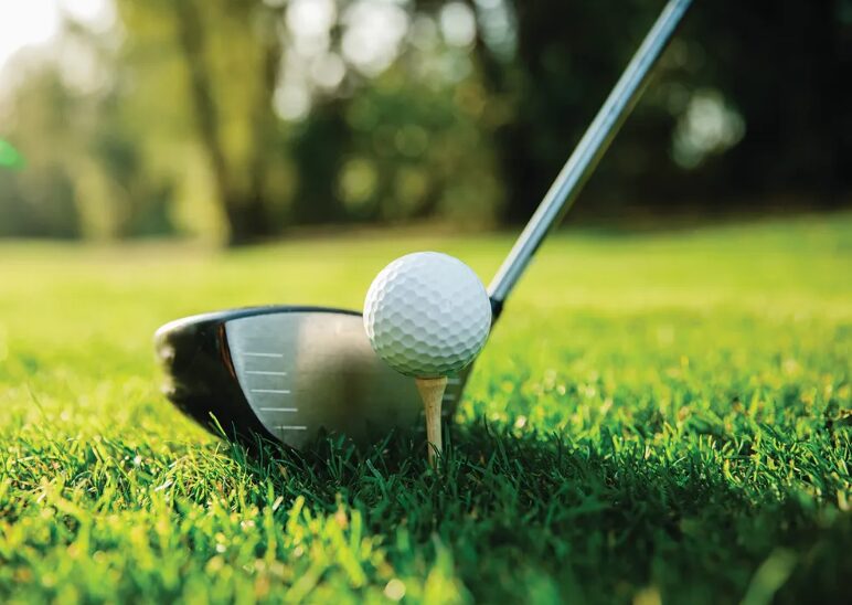 Close-up of a golf ball teed up on a small wooden tee beside a driver on a grassy golf course, sunny day.