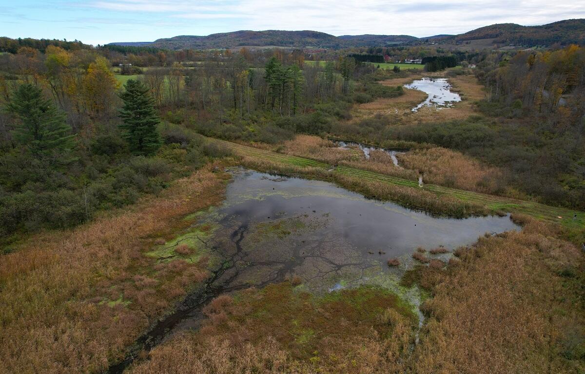 Aerial view of a marshy wetland with winding water channels, brown grasses, and scattered evergreens, set against rolling autumn hills under a cloudy sky.