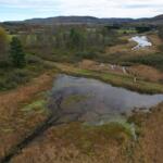Aerial view of a marshy wetland with winding water channels, brown grasses, and scattered evergreens, set against rolling autumn hills under a cloudy sky.
