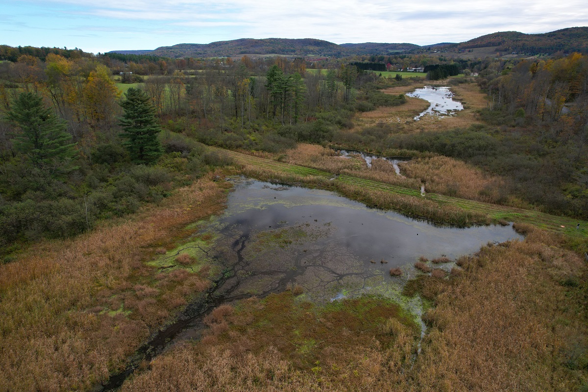 Aerial view of a marshy wetland with winding water channels, brown grasses, and scattered evergreens, set against rolling autumn hills under a cloudy sky.