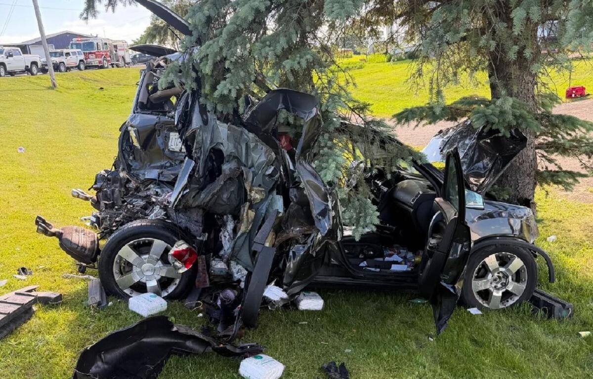 Car wreck crashed into a tree, metal twisted, open doors, debris on grass; emergency vehicles in background.