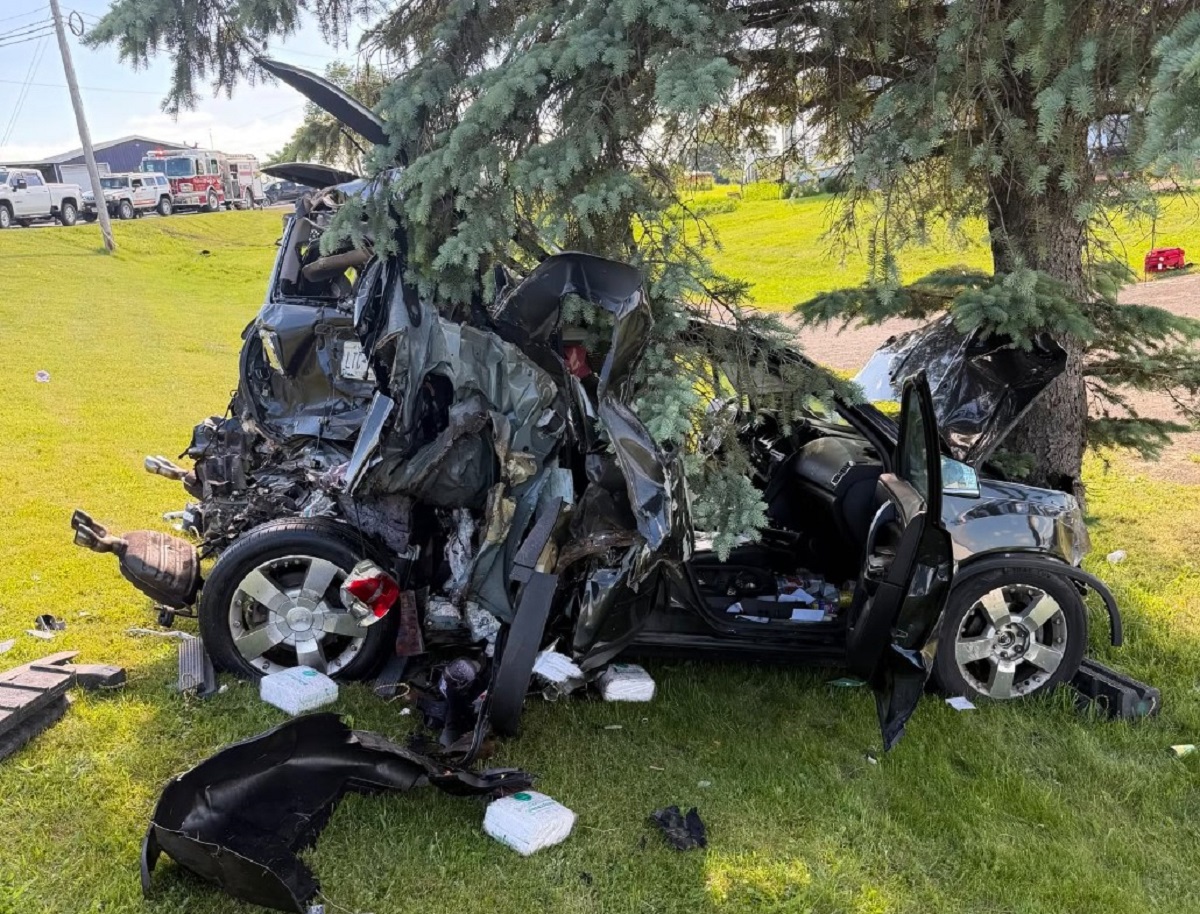 Car wreck crashed into a tree, metal twisted, open doors, debris on grass; emergency vehicles in background.