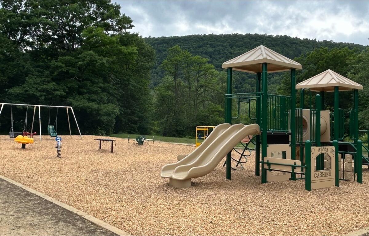 Open-air playground in a park with beige twin slides, green climbing structure, swings, and wood-chip ground near trees and hills in the background.