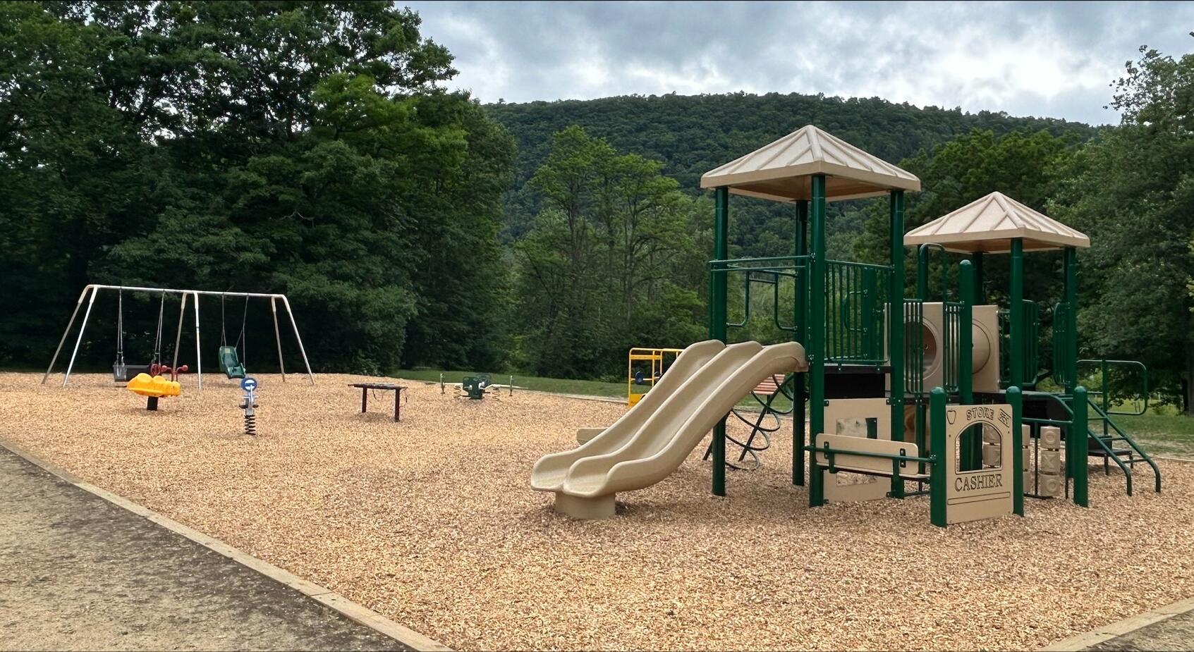Open-air playground in a park with beige twin slides, green climbing structure, swings, and wood-chip ground near trees and hills in the background.