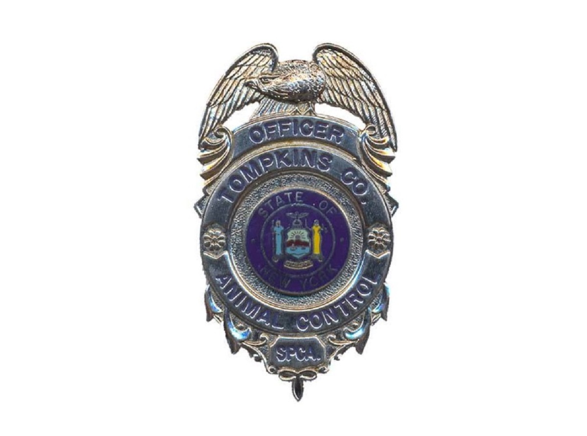 Animal control officer badge: State of New York insignia with an eagle and decorative shield marker, labeled 'Officer' and 'Animal Control' on the badge.