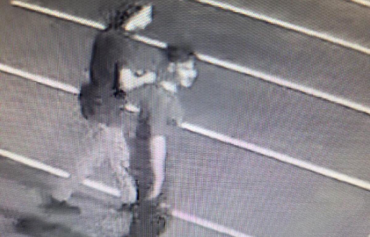 Grainy security image of an adult in dark clothing standing over a smaller person on a street at night.