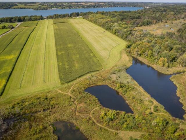 Aerial view of farmland with rectangular green fields, a lake in the distance, and a wetland area with ponds to the right.