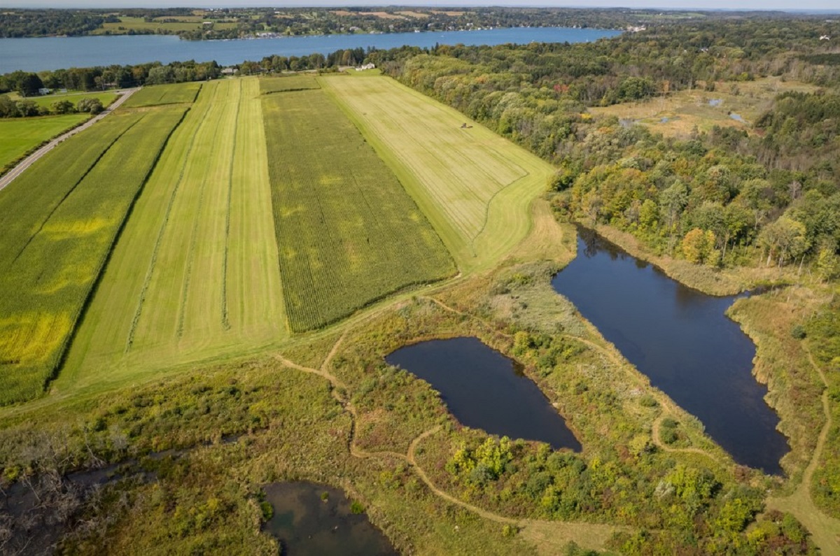 Aerial view of farmland with rectangular green fields, a lake in the distance, and a wetland area with ponds to the right.