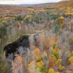 Aerial view of a forest in autumn with vibrant orange, yellow, and green trees surrounding a dark irregular pond at center-left, hills in the distance.