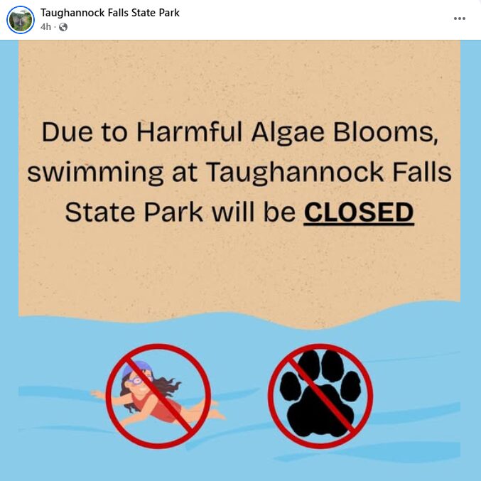screenshot of a post from Taughannock Falls State Park stating swimming is temporarily closed as of July 14th, 2026