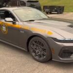 Gray Dodge Charger state trooper patrol car with yellow stripe and emblem parked in a lot on a sunny day.