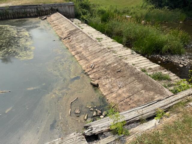 A decaying wooden ramp leads into a murky algae‑covered pond with overgrown vegetation nearby.
