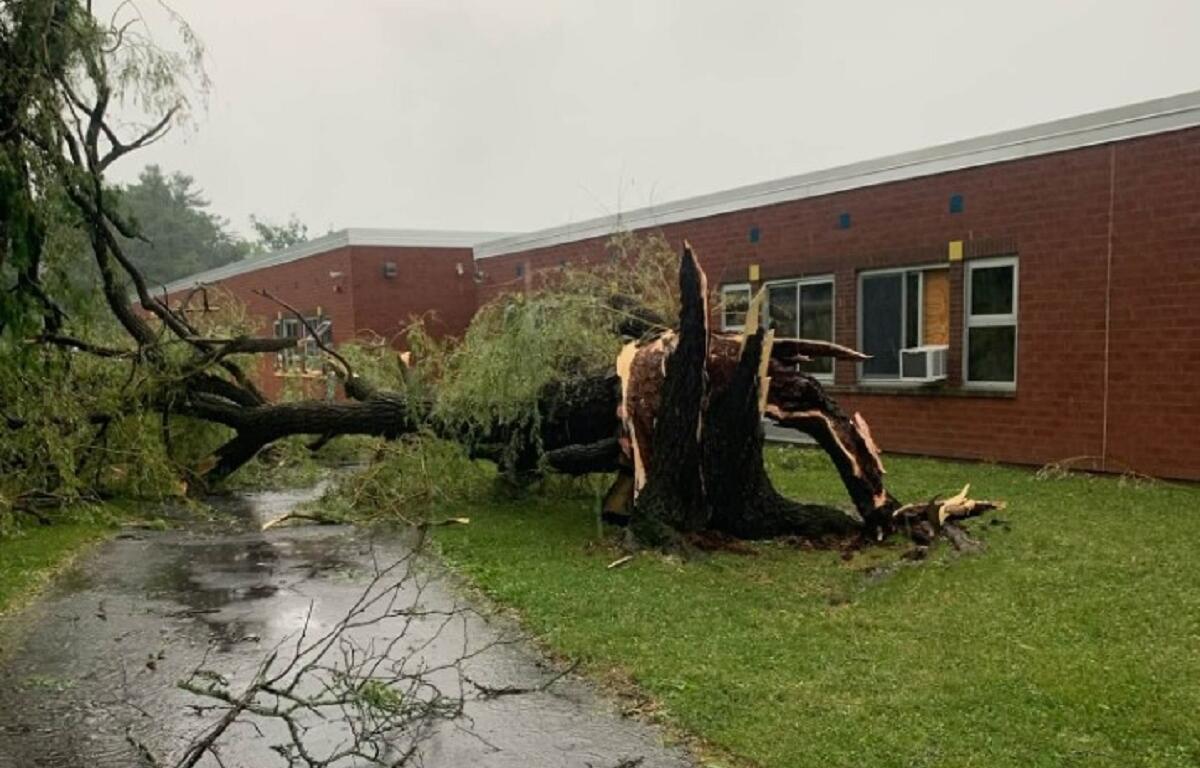 Fallen tree blocks a wet road in front of a red-brick building after a storm, with broken branches scattered nearby.
