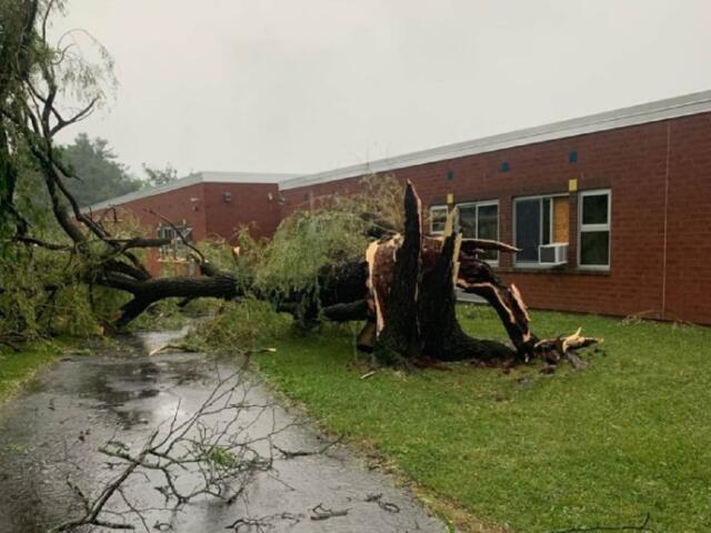Fallen tree blocks a wet road in front of a red-brick building after a storm, with broken branches scattered nearby.
