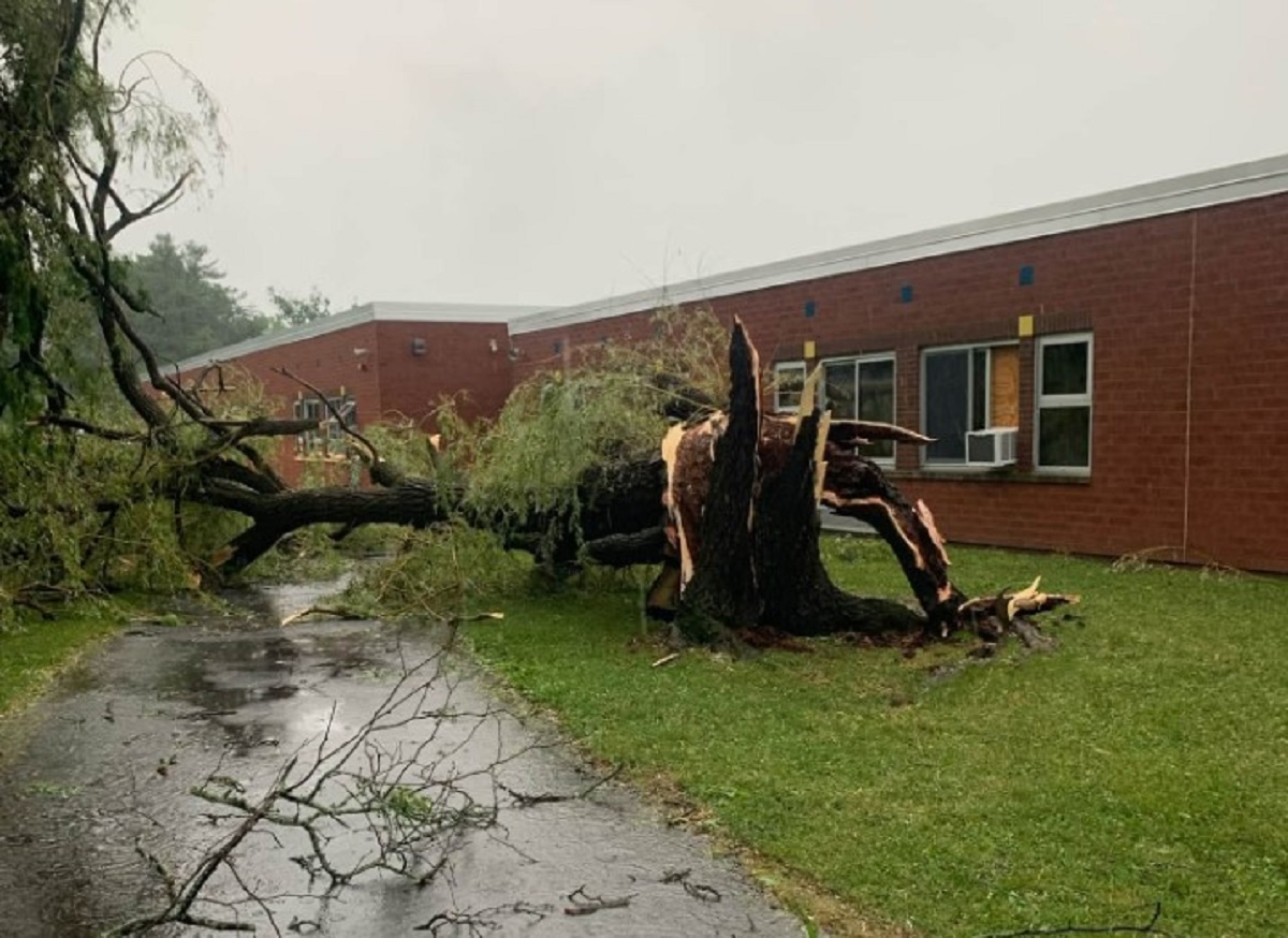 Fallen tree blocks a wet road in front of a red-brick building after a storm, with broken branches scattered nearby.
