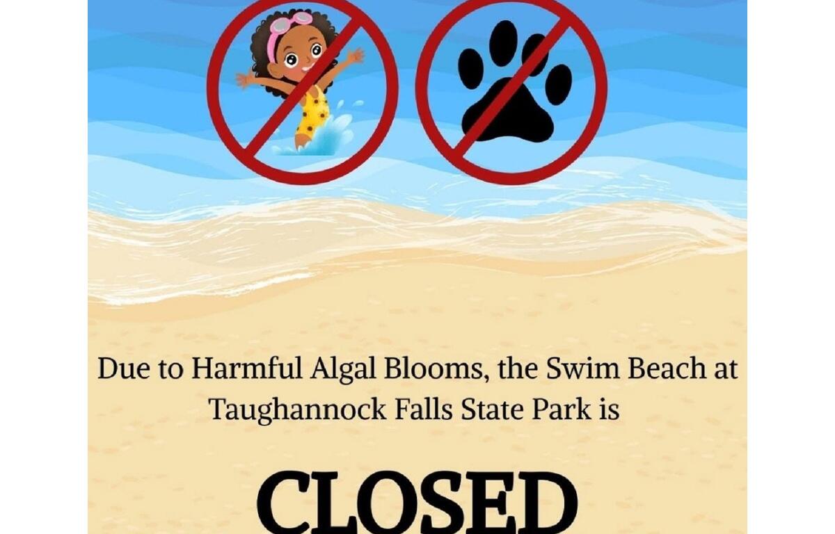 Sign announcing swim beach at Taughannock Falls State Park is CLOSED due to harmful algal blooms; no swimming allowed.