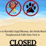 Sign announcing swim beach at Taughannock Falls State Park is CLOSED due to harmful algal blooms; no swimming allowed.