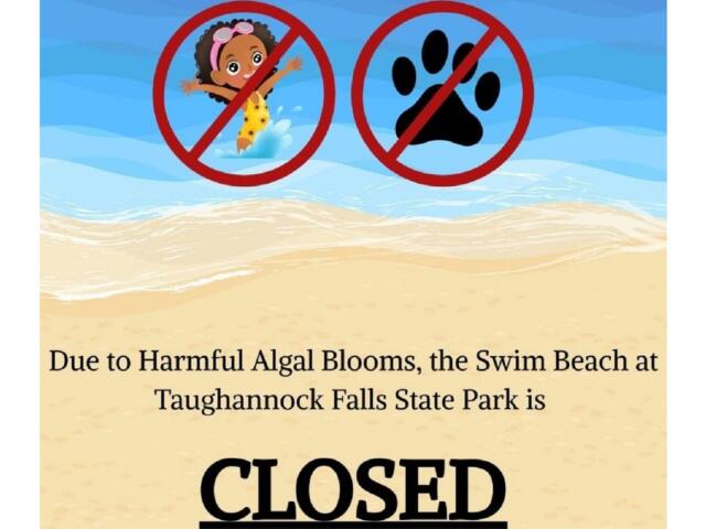 Sign announcing swim beach at Taughannock Falls State Park is CLOSED due to harmful algal blooms; no swimming allowed.
