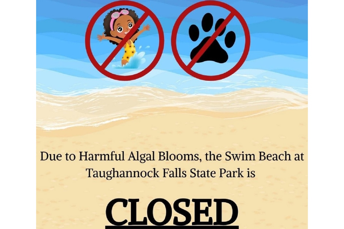 Sign announcing swim beach at Taughannock Falls State Park is CLOSED due to harmful algal blooms; no swimming allowed.